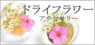 ドライフラワー