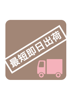 最短即日出荷